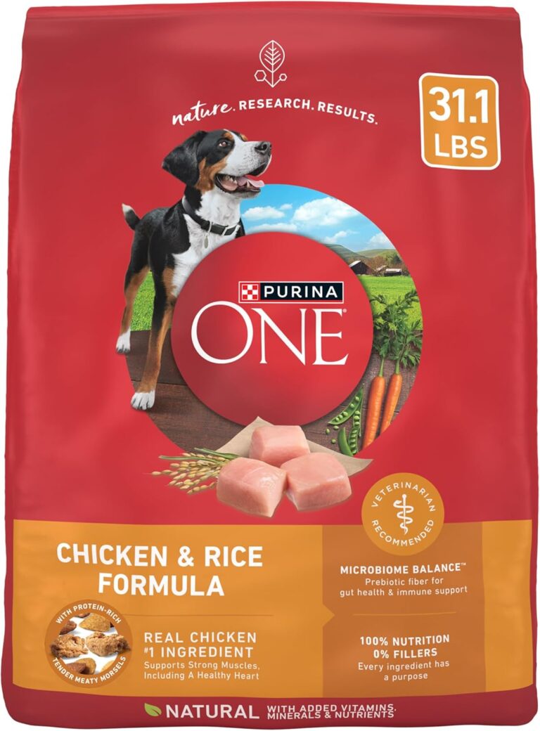 Purina ONE Chicken and Rice Formula Dry Dog Food Review