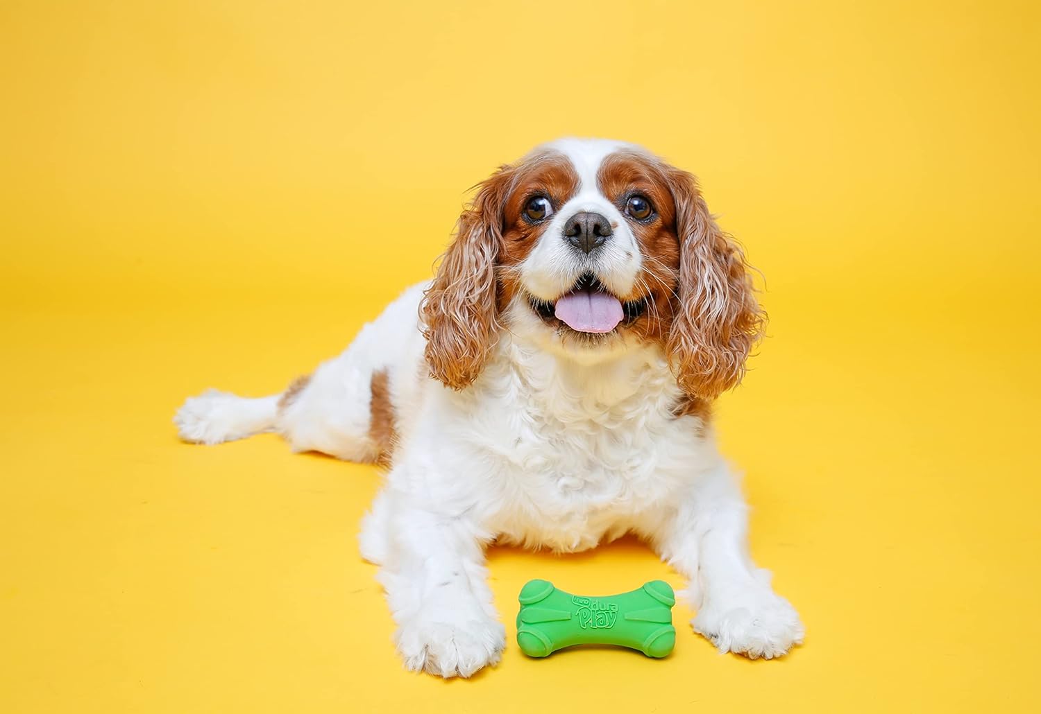 Hartz DuraPlay Bone Squeaky Latex Dog Toy for Medium Breeds, 3 Pack - Image 5