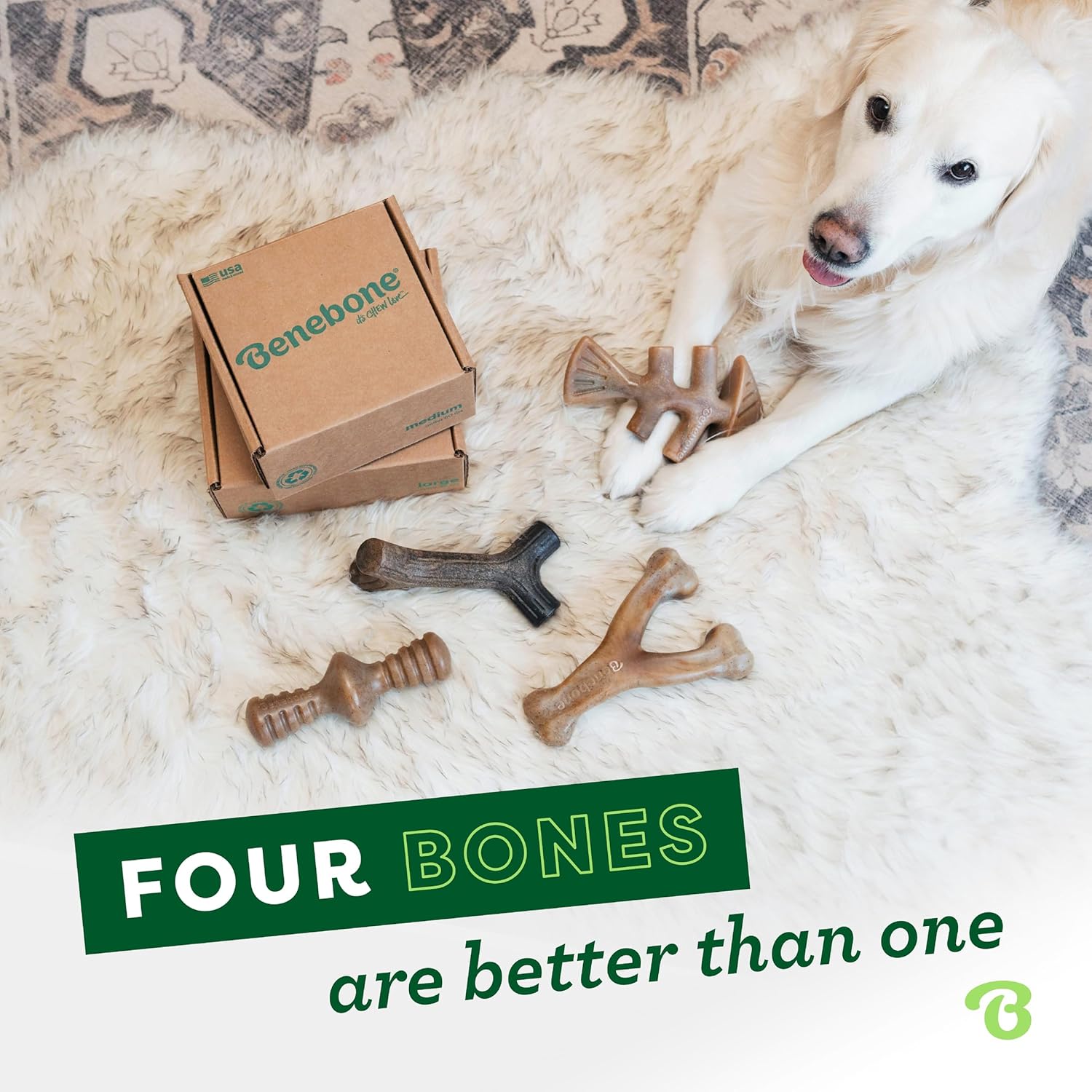 Benebone Medium 4-Pack Dog Chew Toys for Aggressive Chewers, Made in USA, 60lbs and Under - Image 5