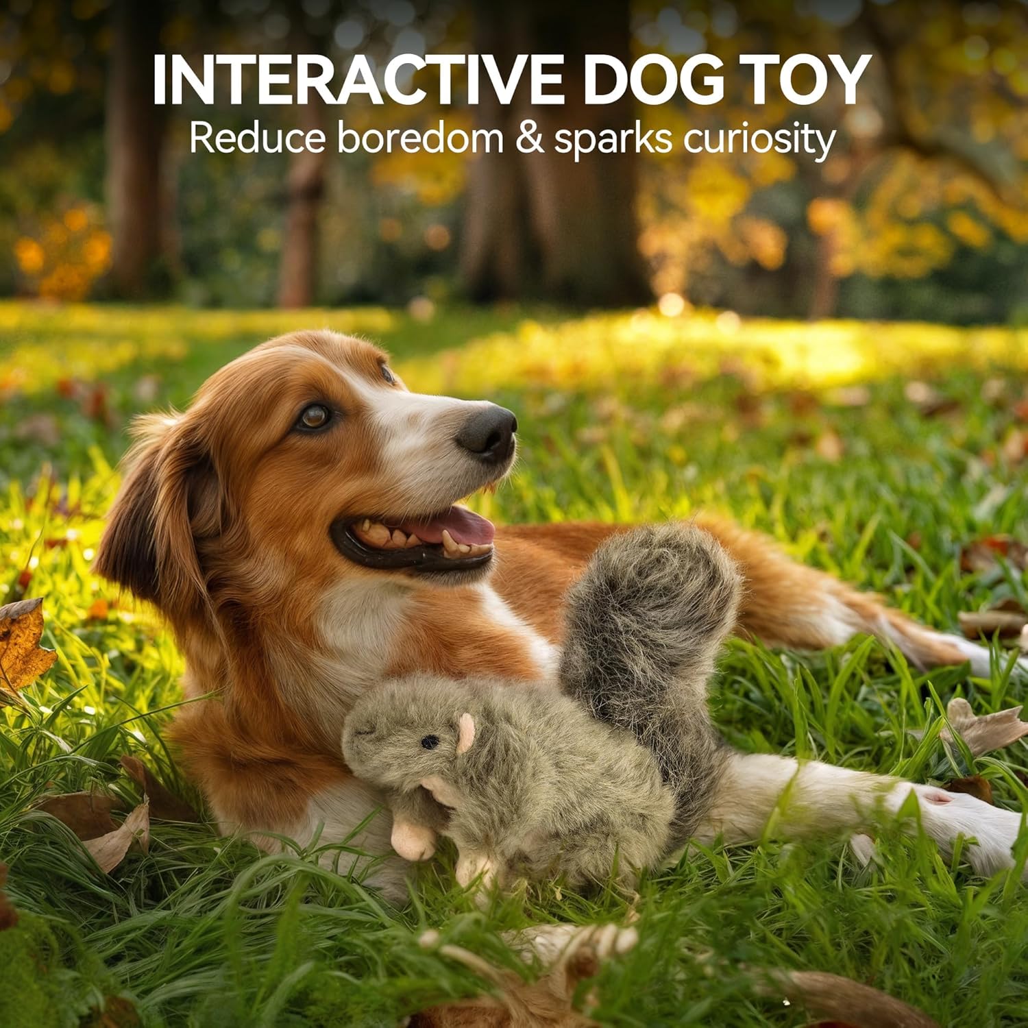 ALL FOR PAWS Classic Squirrel Pet Toys, Small - Image 4