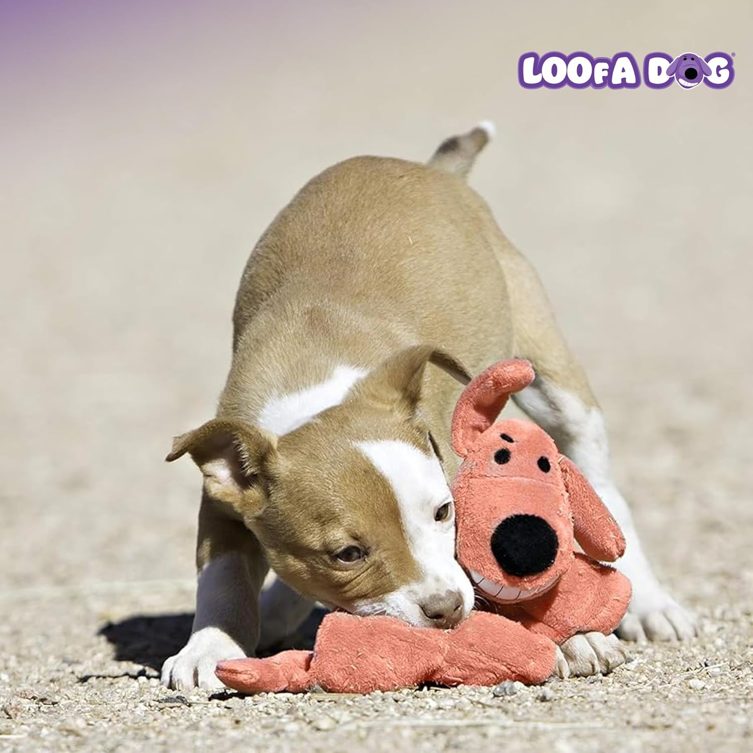 Multipet Original Loofa Dog Plush Toy - Squeaky Toy for All Dogs - Extra Soft Plush - Stuffed Animal Dog Toys for Playing (1 Count, 24”, Random Color Surprise) - Image 9