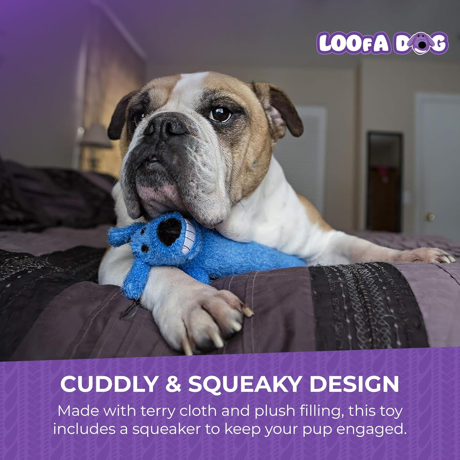 Multipet Original Loofa Dog Plush Toy - Squeaky Toy for All Dogs - Extra Soft Plush - Stuffed Animal Dog Toys for Playing (1 Count, 24”, Random Color Surprise) - Image 6