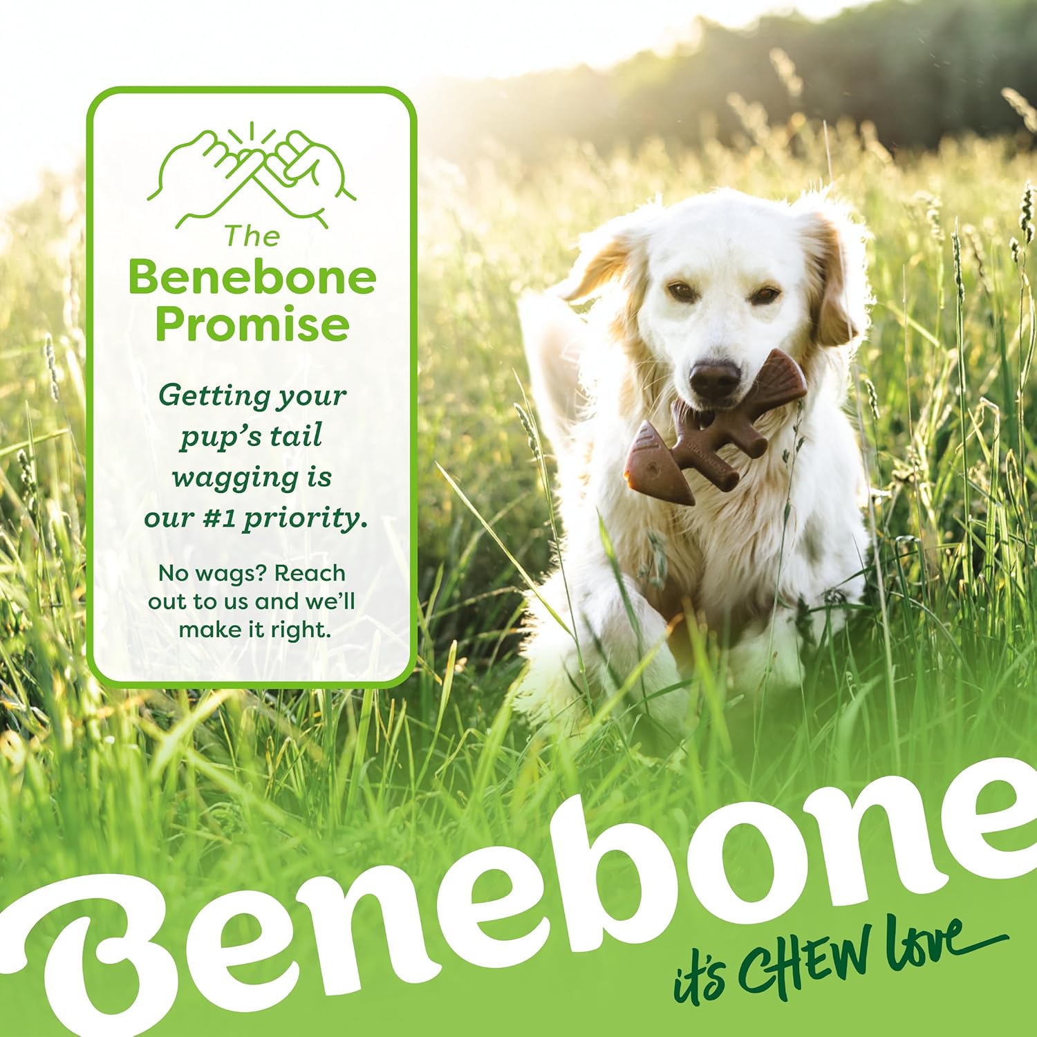 Benebone Medium 4-Pack Dog Chew Toys for Aggressive Chewers, Made in USA, 60lbs and Under - Image 7