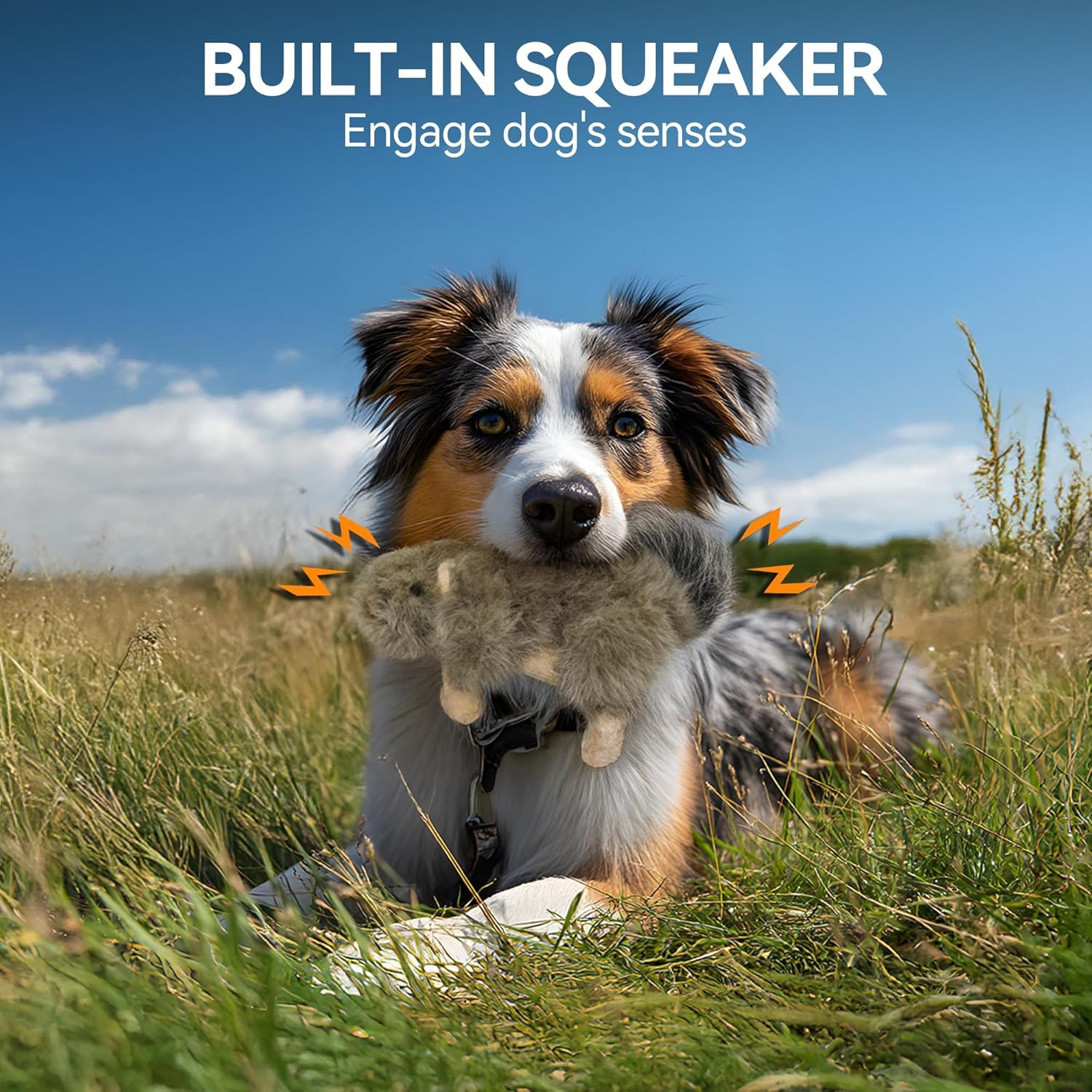 ALL FOR PAWS Classic Squirrel Pet Toys, Small - Image 3