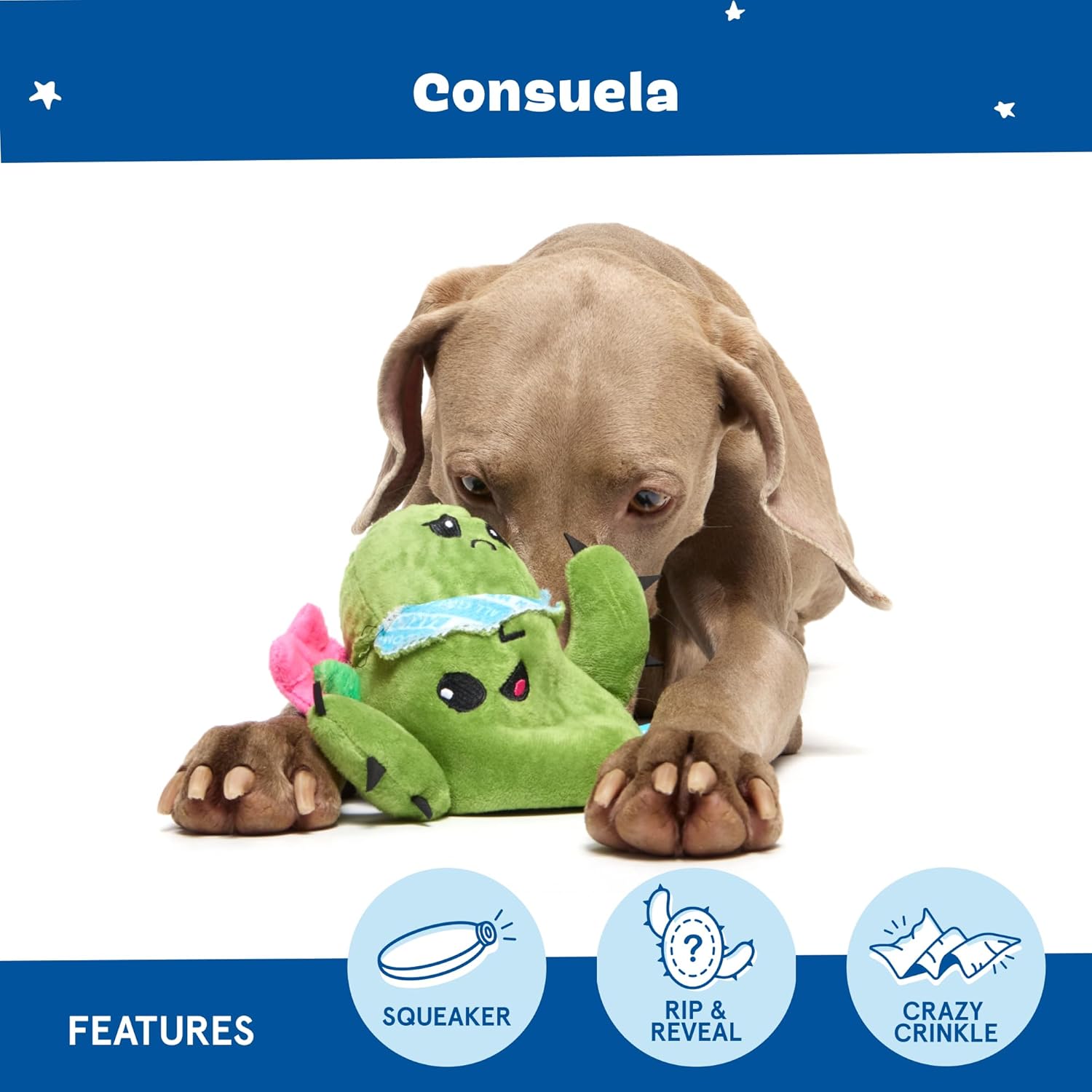 Barkbox Consuela The Cactus 2-in-1 Interactive Plush Dog Toy - Squeaky Dog Chew Toy with Crinkle Layers - for Large Dogs and Puppies - Image 5