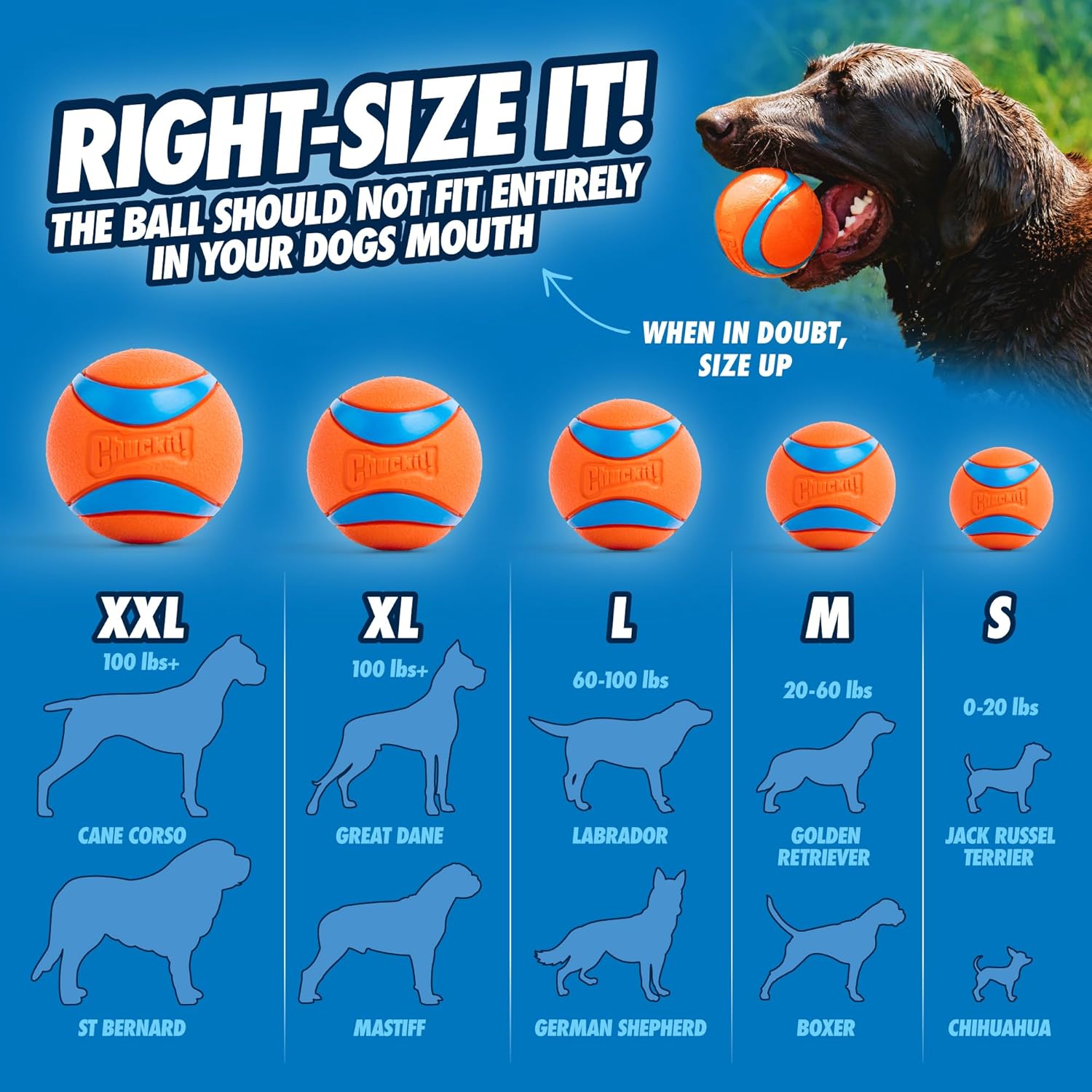 Chuckit! Ultra Ball Dog Toy - Size Large - For Dogs 60-100 lbs - Made from Durable Rubber - Super Bouncy - Floats in Water - 3-inch Diameter - Pack of 1 - Image 5