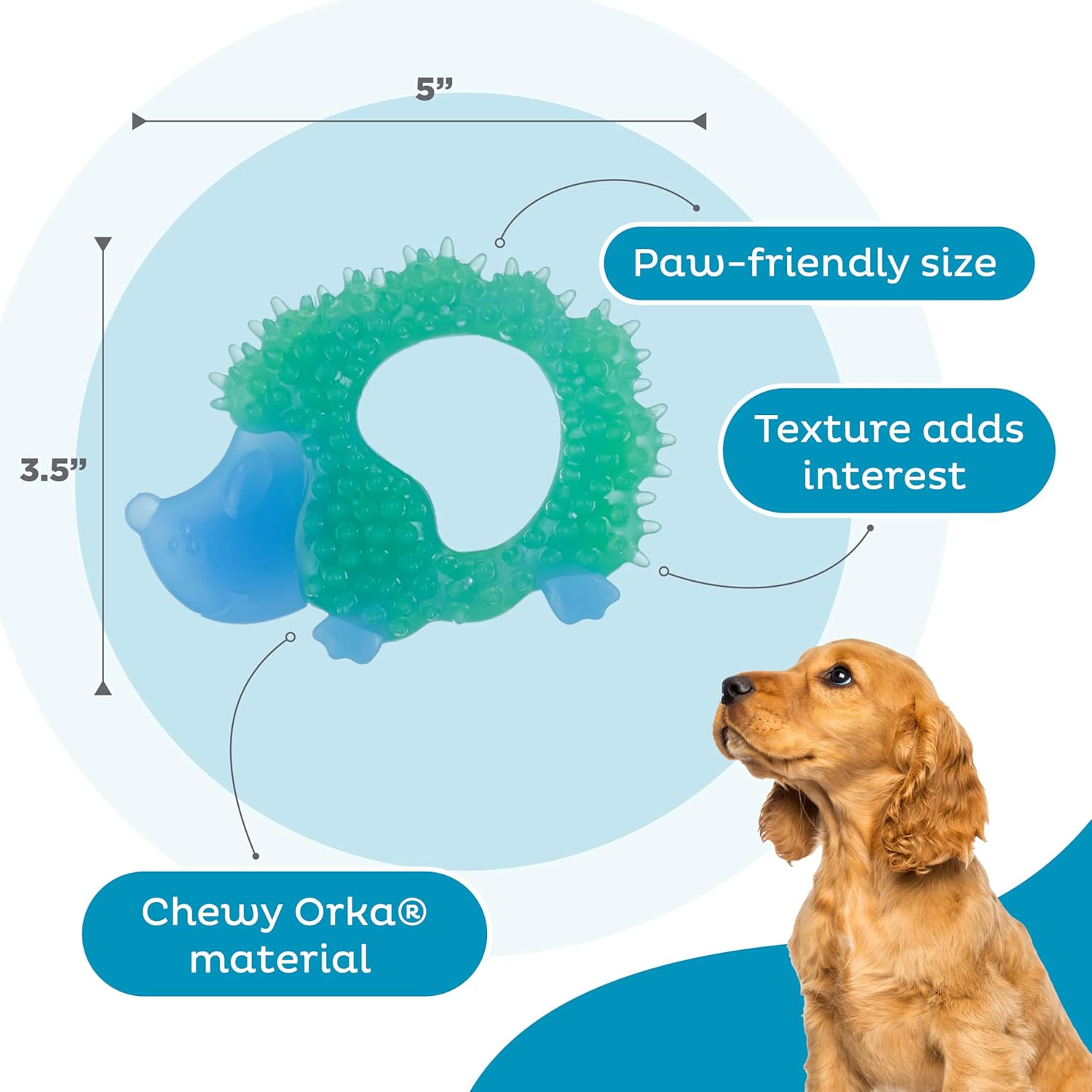 Outward Hound Cutie Chewies Hedgehog Dental Dog Chew Toy, Blue - Image 4