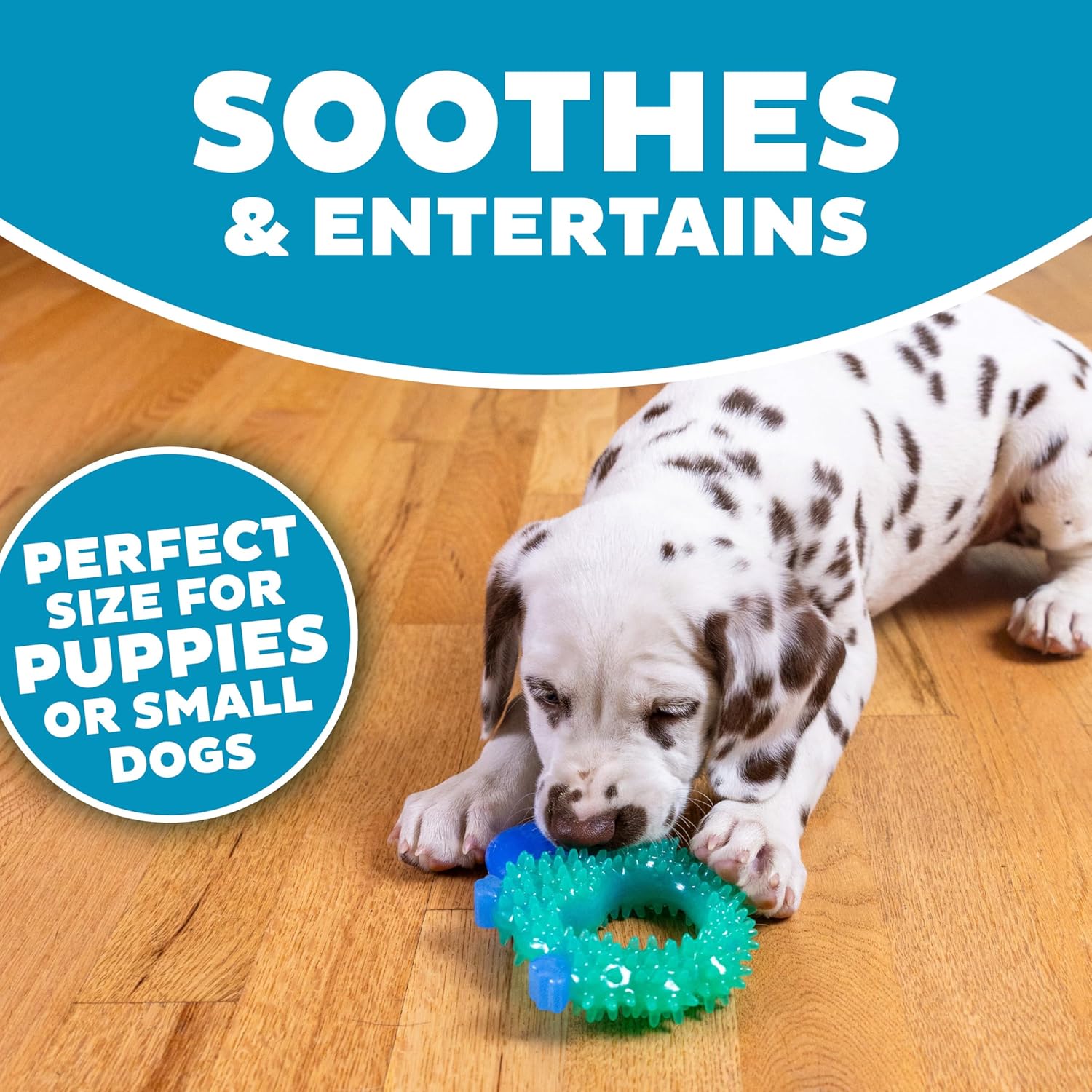 Outward Hound Cutie Chewies Hedgehog Dental Dog Chew Toy, Blue - Image 5