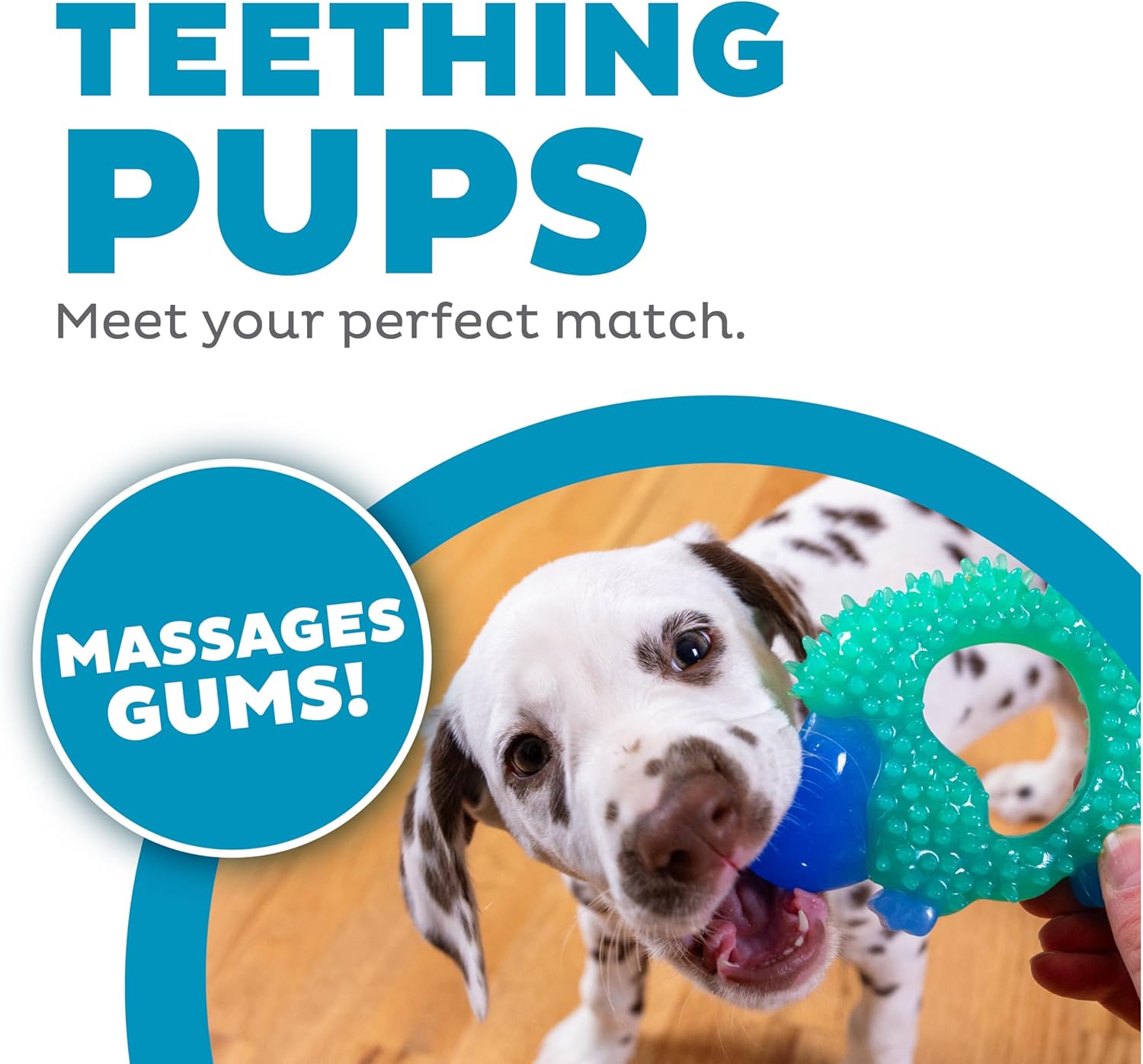 Outward Hound Cutie Chewies Hedgehog Dental Dog Chew Toy, Blue - Image 3