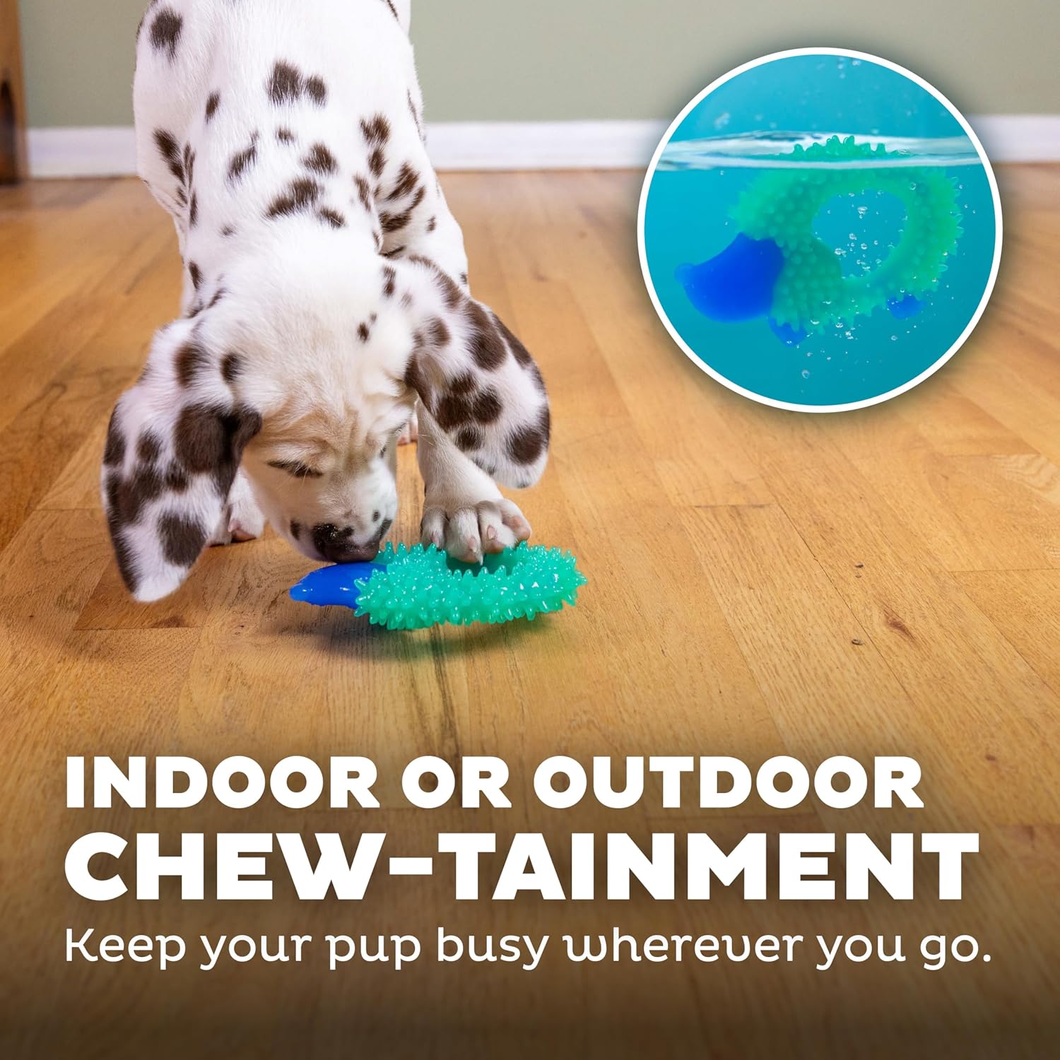 Outward Hound Cutie Chewies Hedgehog Dental Dog Chew Toy, Blue - Image 6