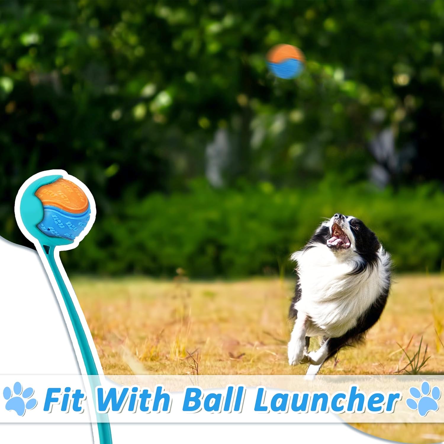 6Pcs Squeaky Dog Balls, Dog Toys Balls for Training, Tough Ball Toys for Dogs, Fit with Dog Ball Launcher, High Bouncy Dog Ball for Interactive Playing, Puppy Pet Chew Balls Teething Balls 2.5in - Image 6