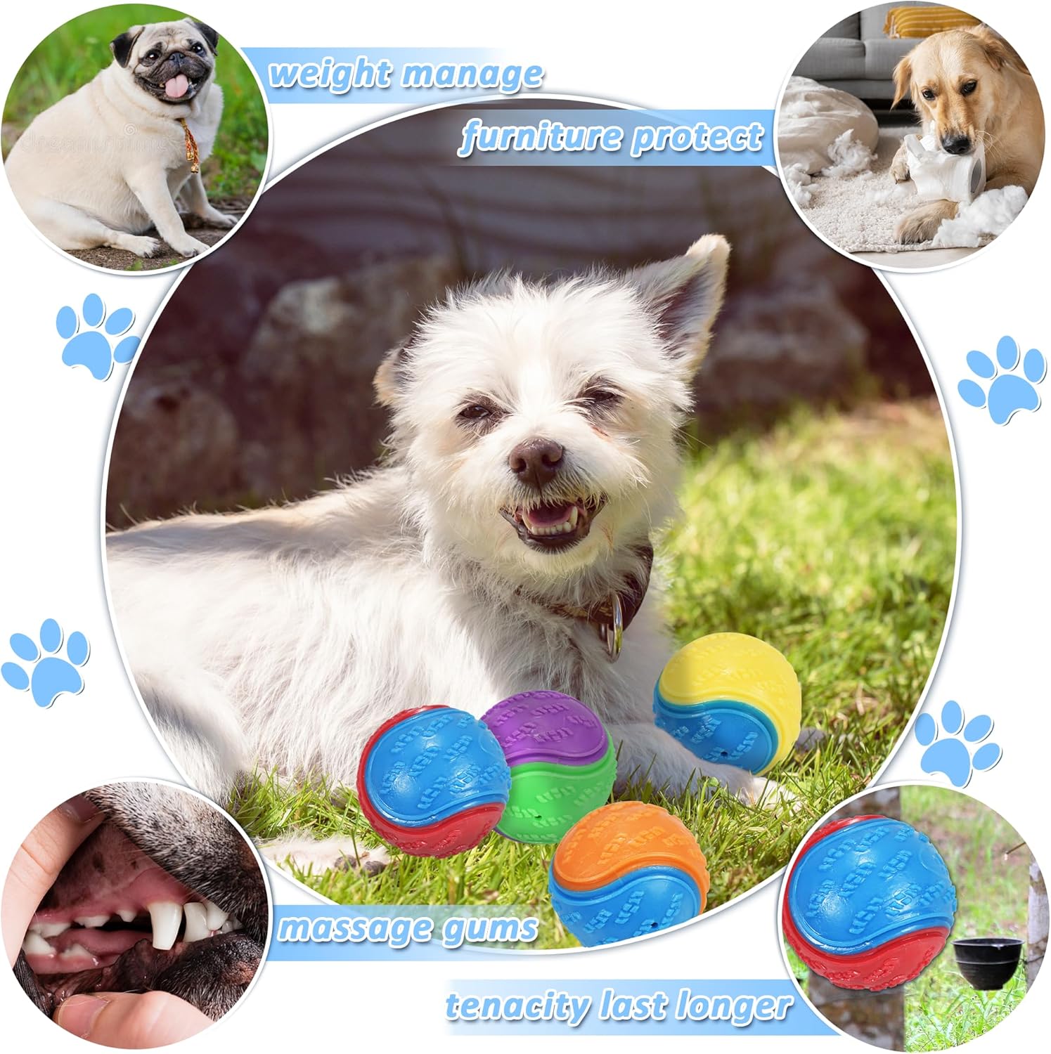 6Pcs Squeaky Dog Balls, Dog Toys Balls for Training, Tough Ball Toys for Dogs, Fit with Dog Ball Launcher, High Bouncy Dog Ball for Interactive Playing, Puppy Pet Chew Balls Teething Balls 2.5in - Image 8