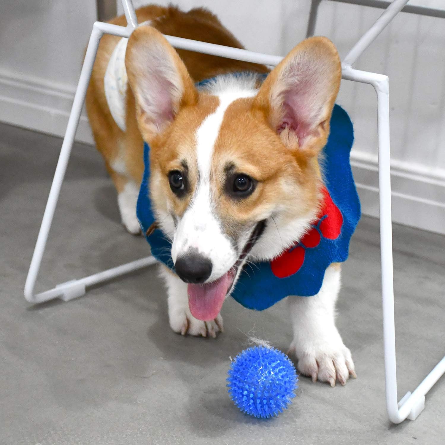SHARLOVY Squeaky Balls for Pet Small Puppy, 6 Pack TPR Fetch Spike Balls for Dogs, Rubber 6 Pack Bright Colors Chew Teething Dog Toys, for Clean Teeth and Training, for Puppy Chew and Teething - Image 8