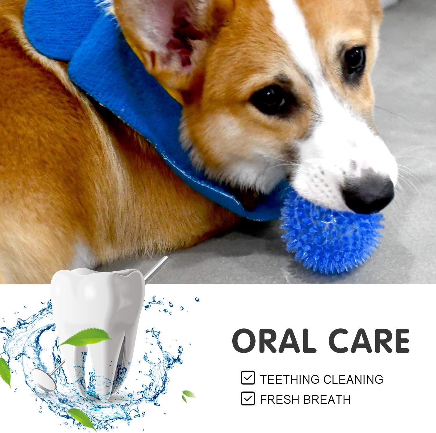 SHARLOVY Squeaky Balls for Pet Small Puppy, 6 Pack TPR Fetch Spike Balls for Dogs, Rubber 6 Pack Bright Colors Chew Teething Dog Toys, for Clean Teeth and Training, for Puppy Chew and Teething - Image 7